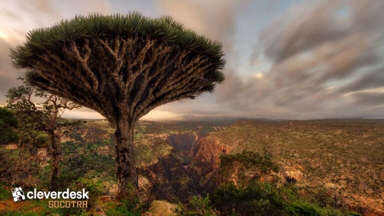 UPDATE BESCHIKBAAR – Cleverdesk 4.7 Socotra