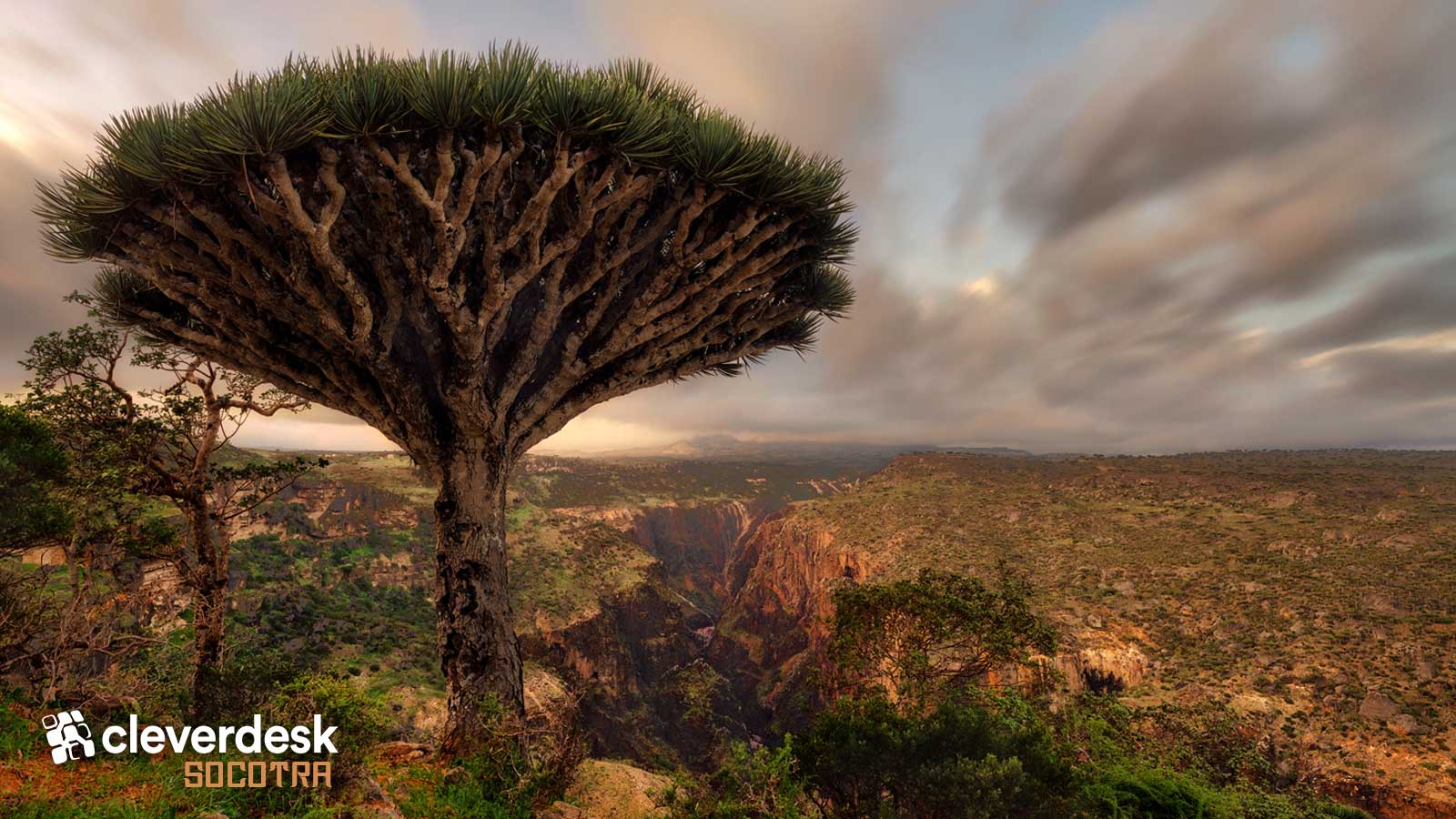 UPDATE BESCHIKBAAR – Cleverdesk 4.7 Socotra